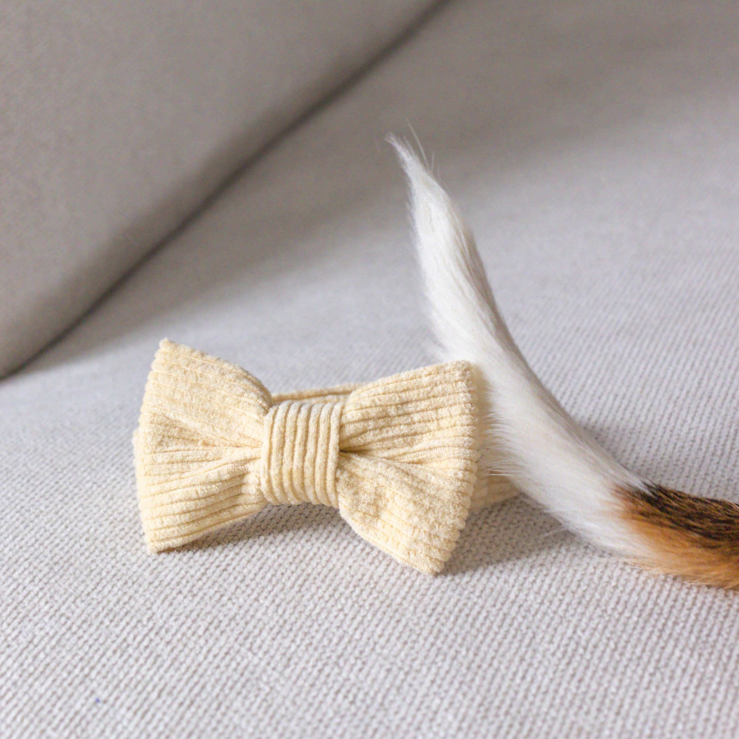 Vlinderdas Hond - Bow Tie Dog - Bow Tie Hond - Hondenaccesoire - Hondenaccessoires