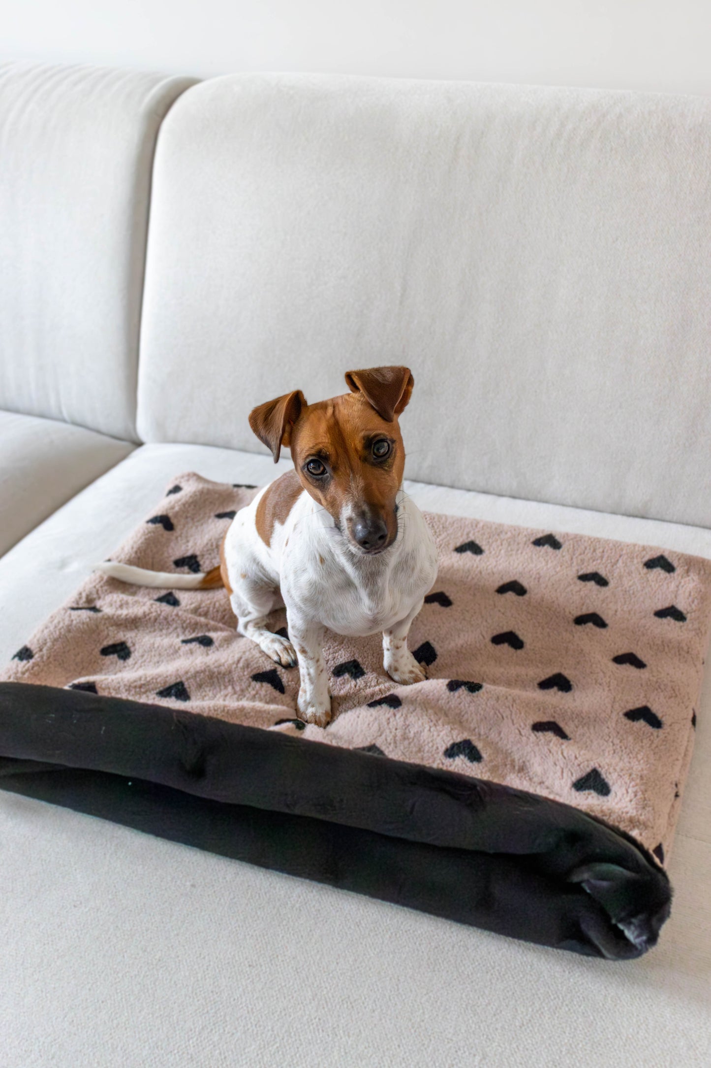 Hondenslaapzak Happy Hearts