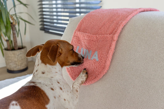 Hondenhanddoek - gepersonaliseerd - Zuma - cadeau