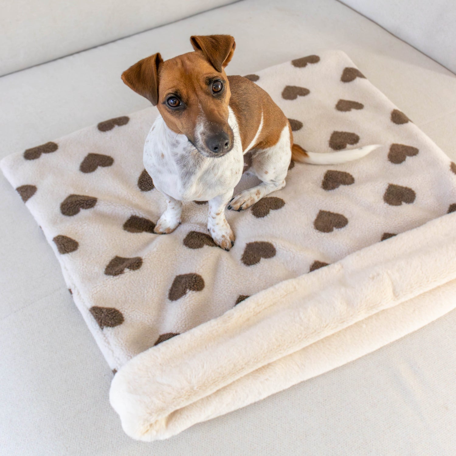 Slaapzak voor honden bruin met beige