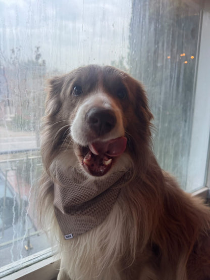 Hondenbandana Pied De Poule