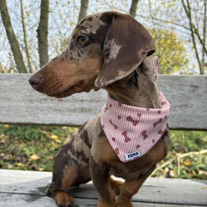 Hondenbandana met strikjes roze