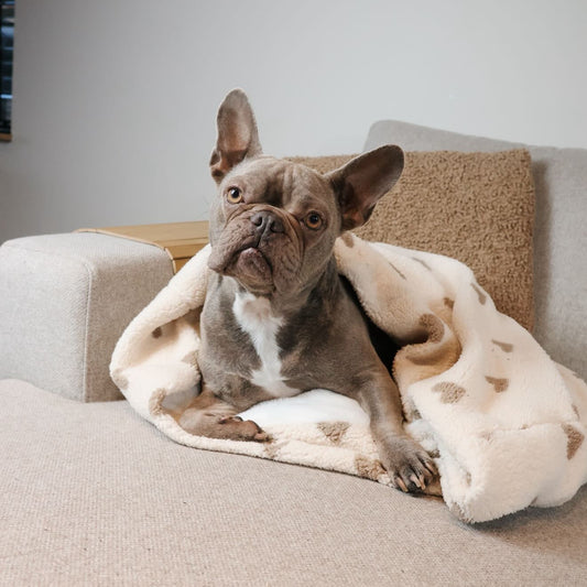 Hondenslaapzak Happy Hearts