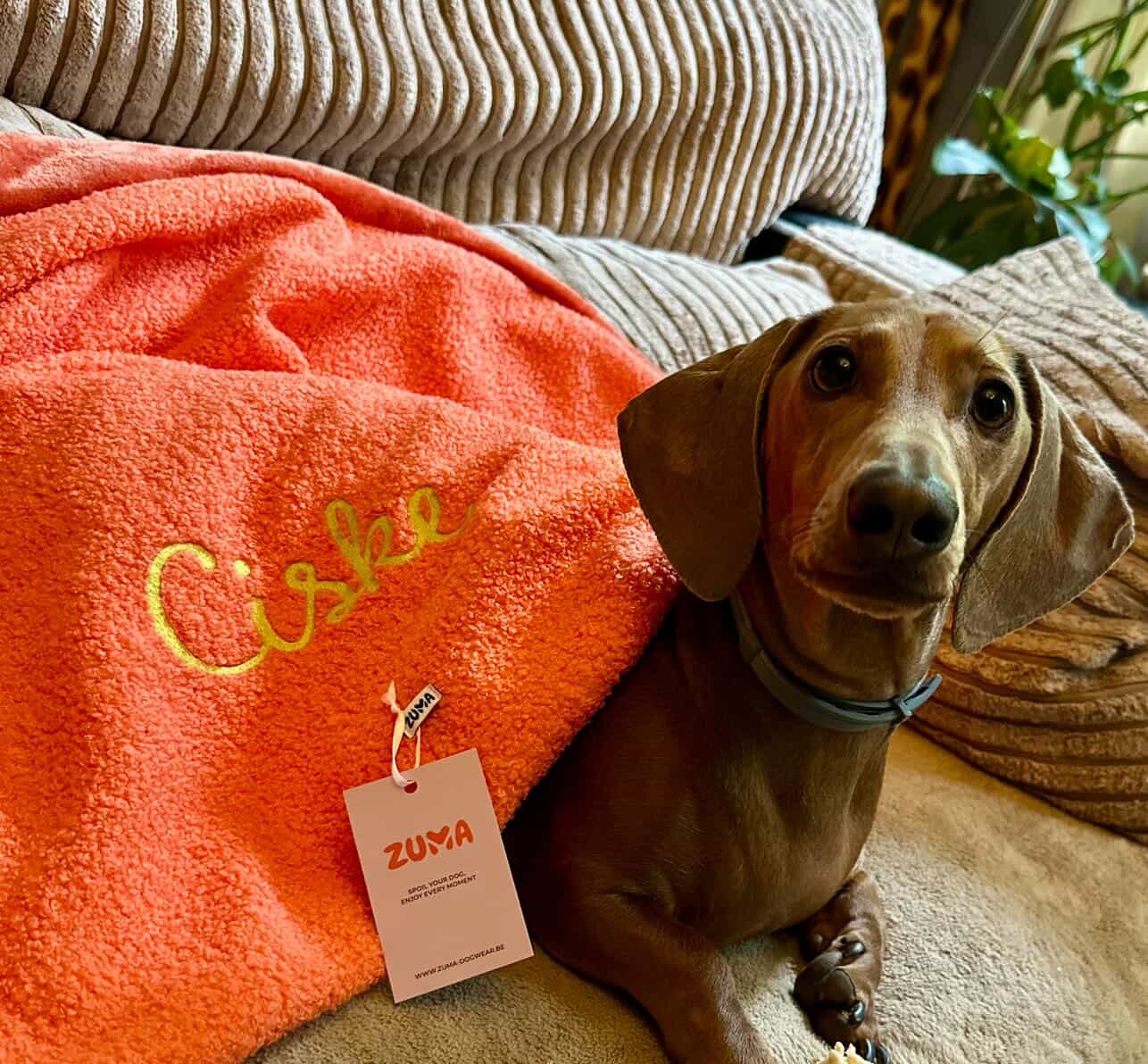 Gepersonaliseerd hondendeken clementine