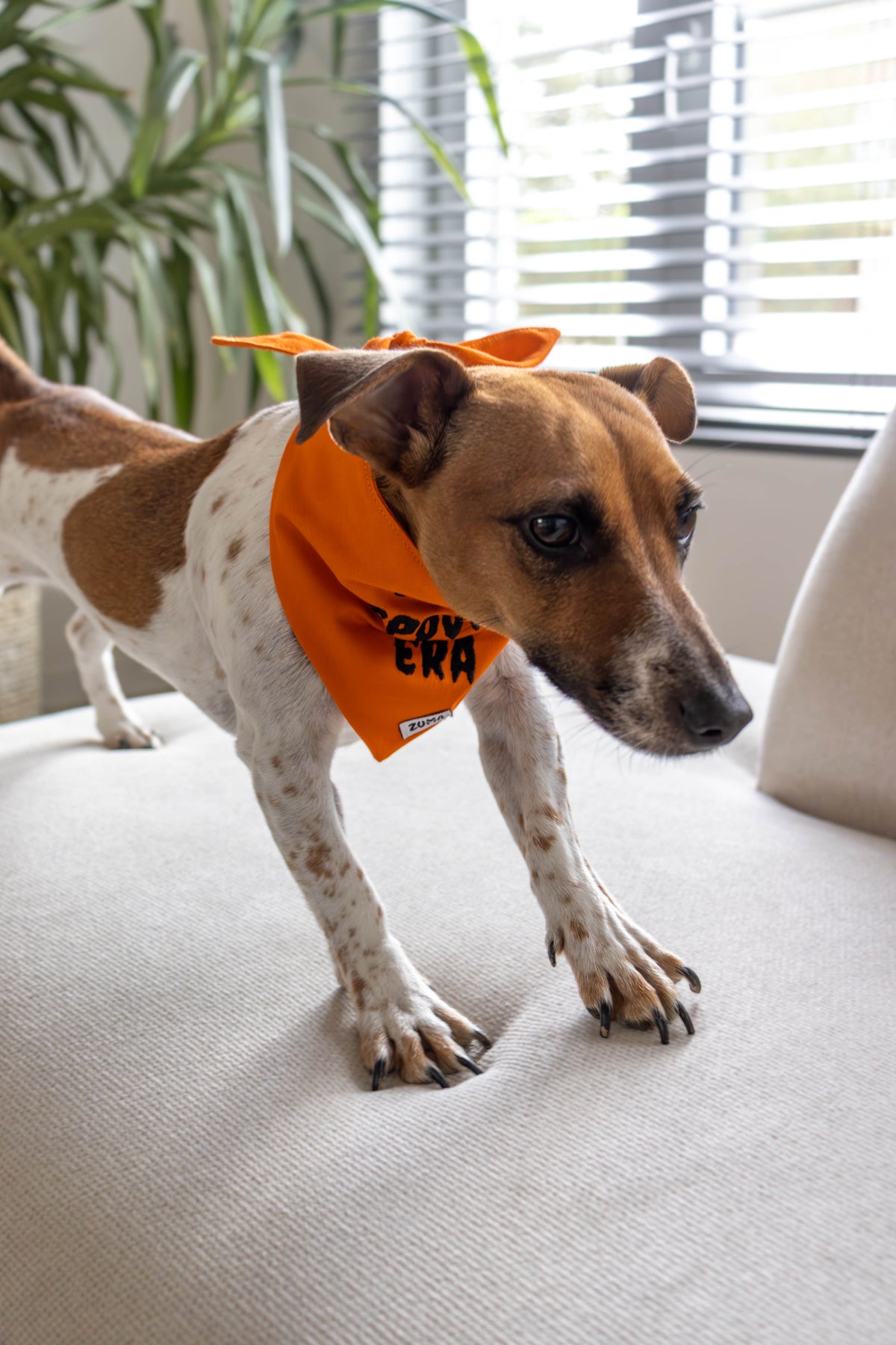 Hondenbandana Halloween In My Spooky Era