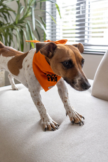 Hondenbandana Halloween In My Spooky Era