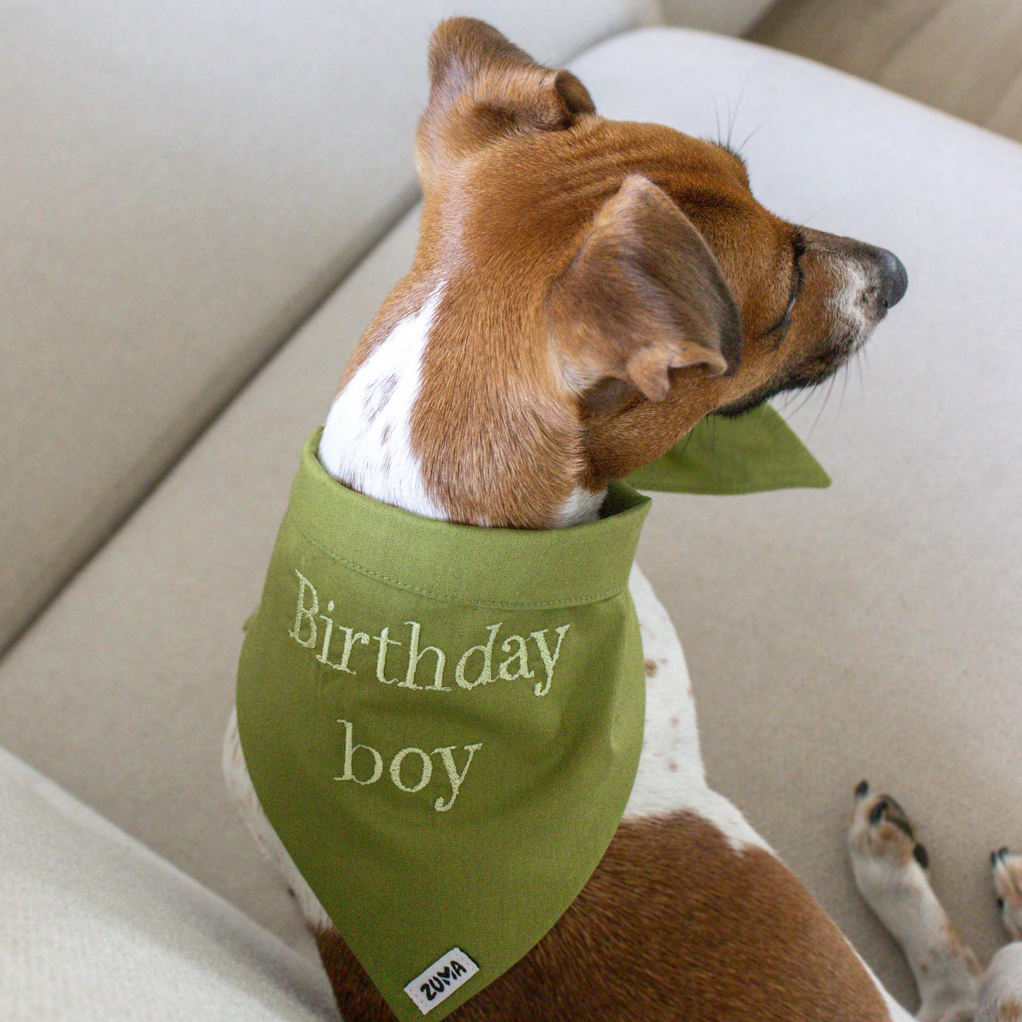Hondenbandana birthday boy