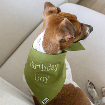 Hondenbandana birthday boy