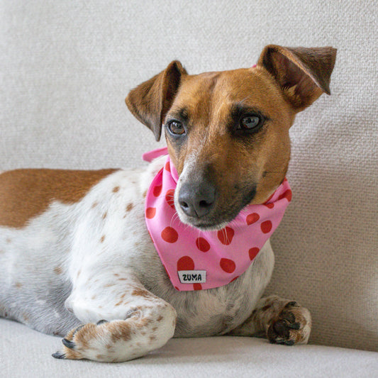 Hondenbandana Berry Blush