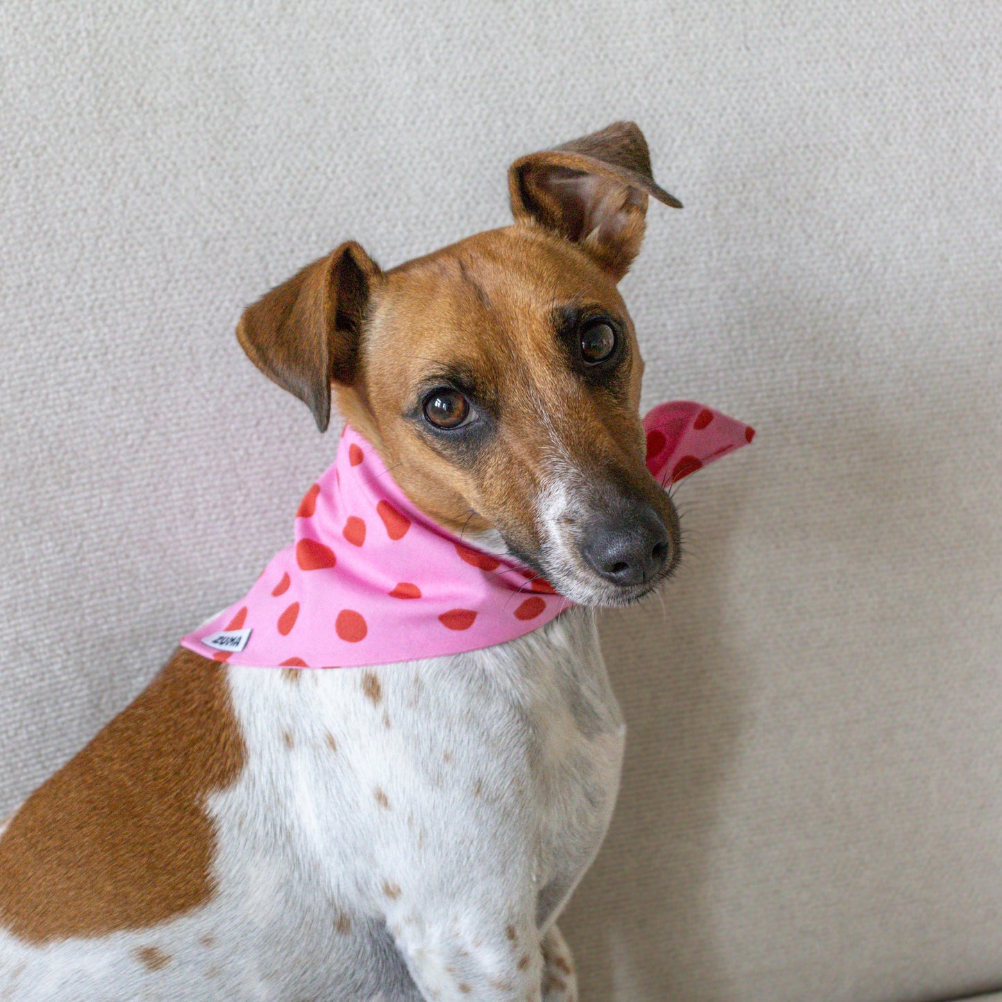Hondenbandana Berry Blush