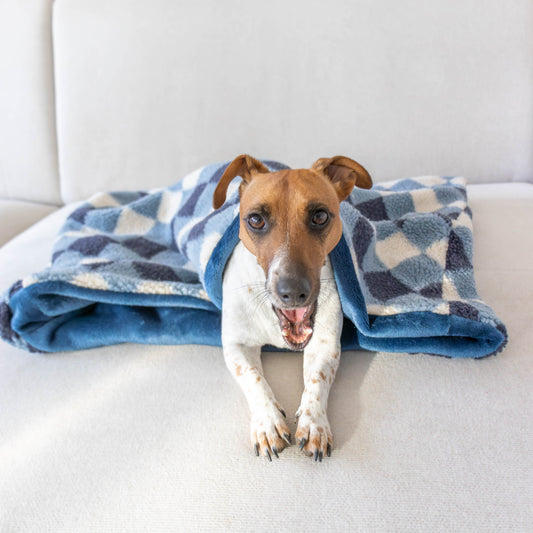 Retro Blue hondenslaapzak in wellnessfleece met blauw ruitjespatroon — Zuma Dogwear