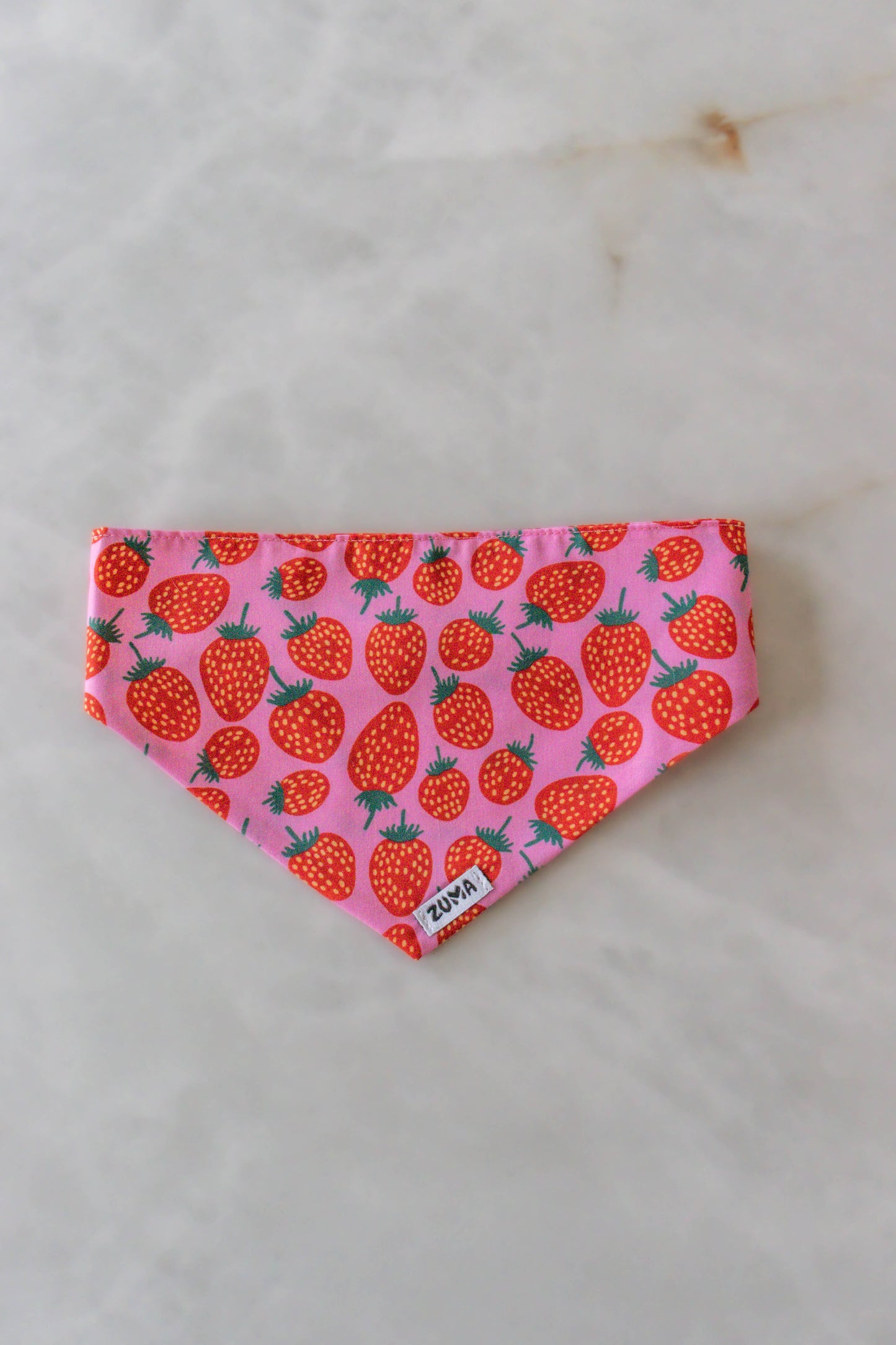 Hondenbandana Strawberry