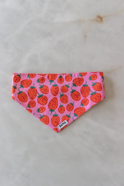 Hondenbandana Strawberry