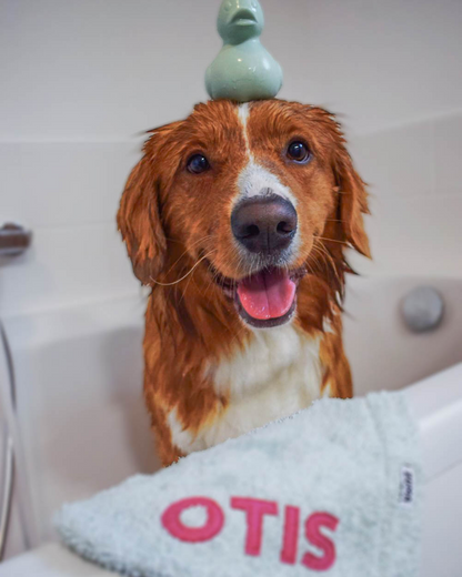 Hondenwashand gepersonaliseerd oud groen