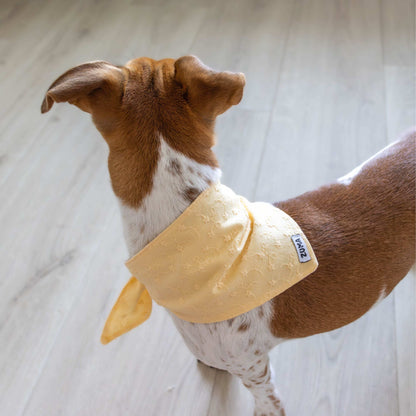 Hondenbandana Sunny Blossom