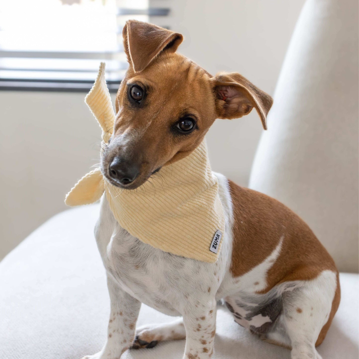 Hondenbandana Vanilla