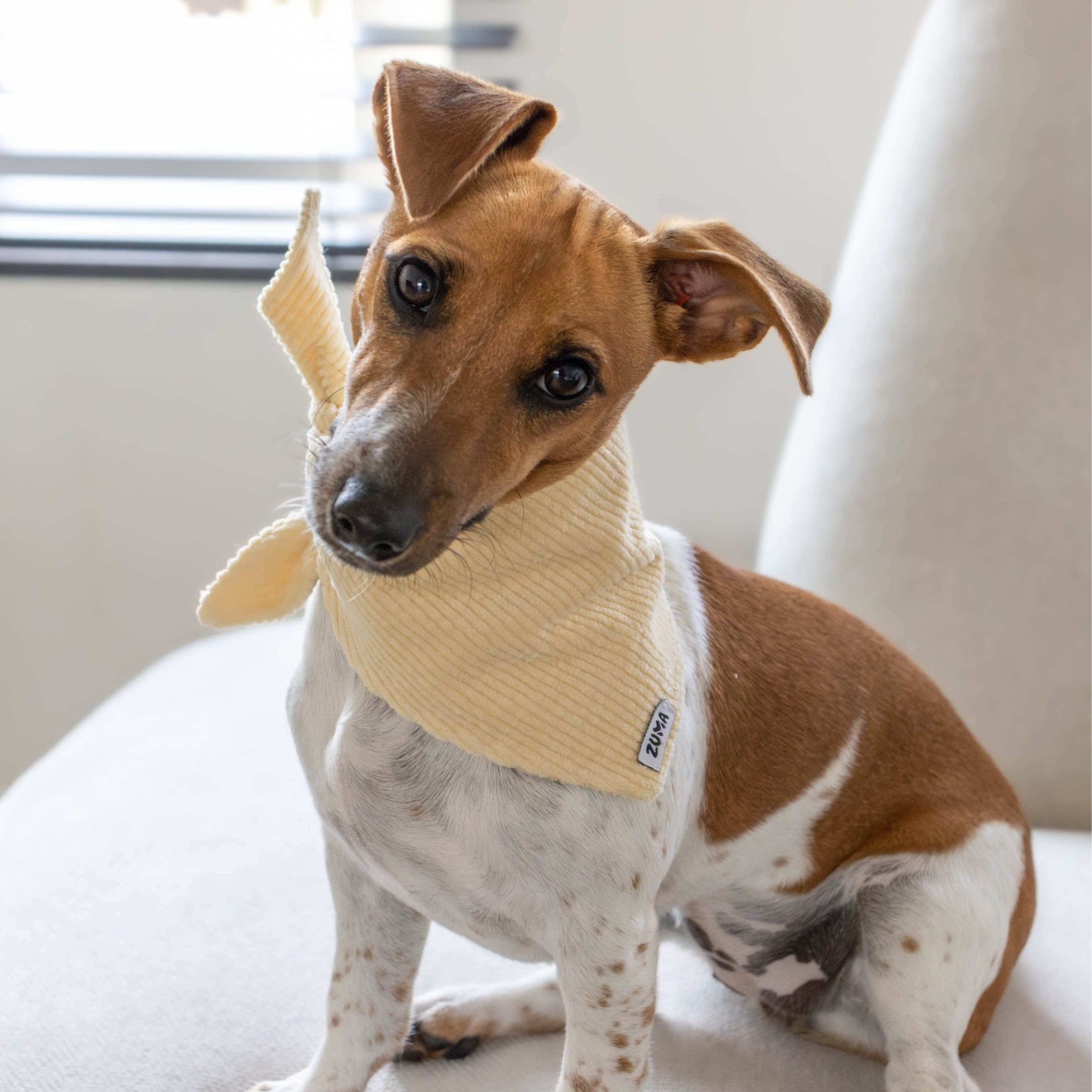 Hondenbandana Vanilla