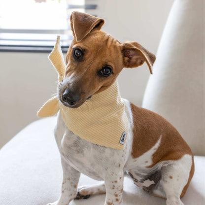Hondenbandana Vanilla