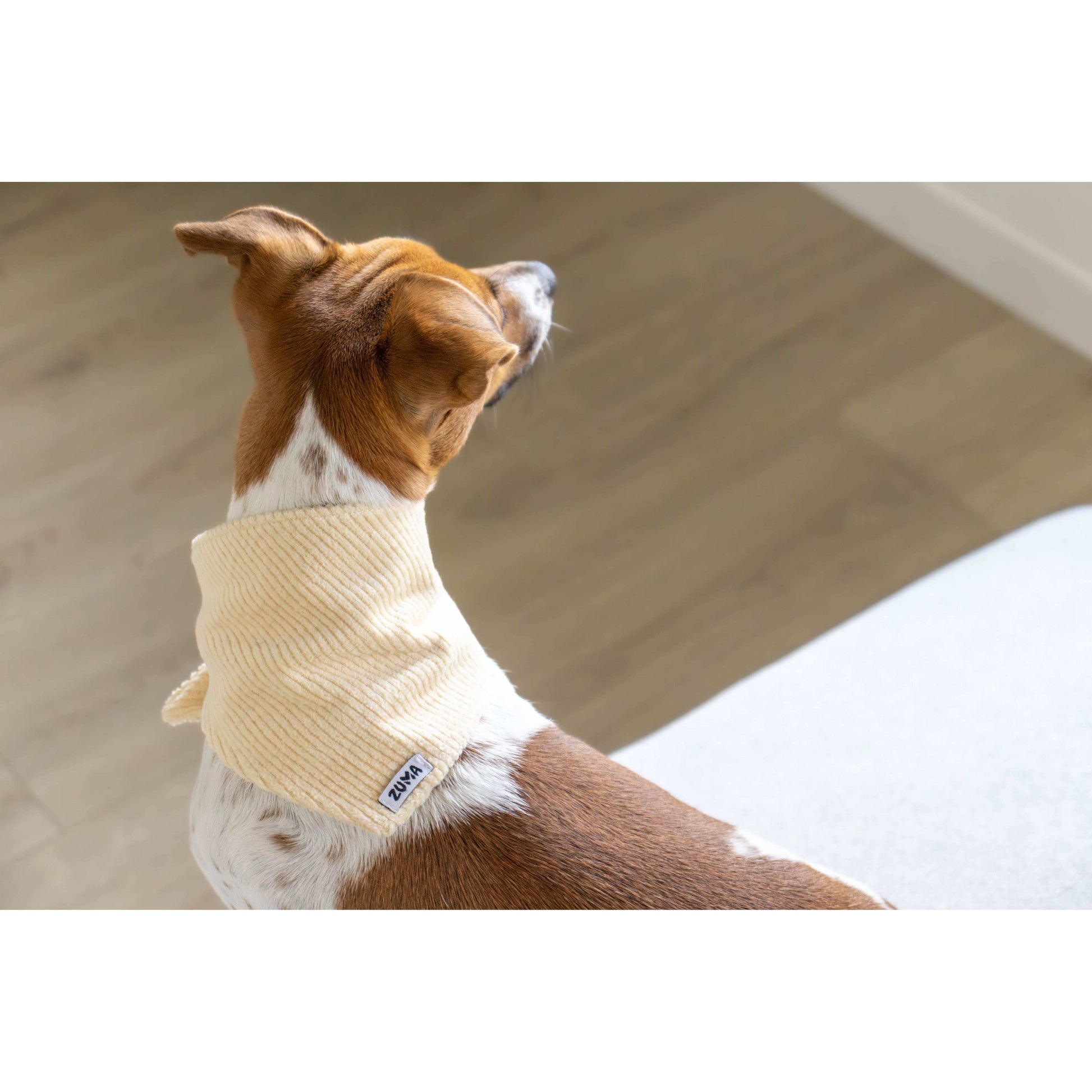 Hondenbandana Vanilla