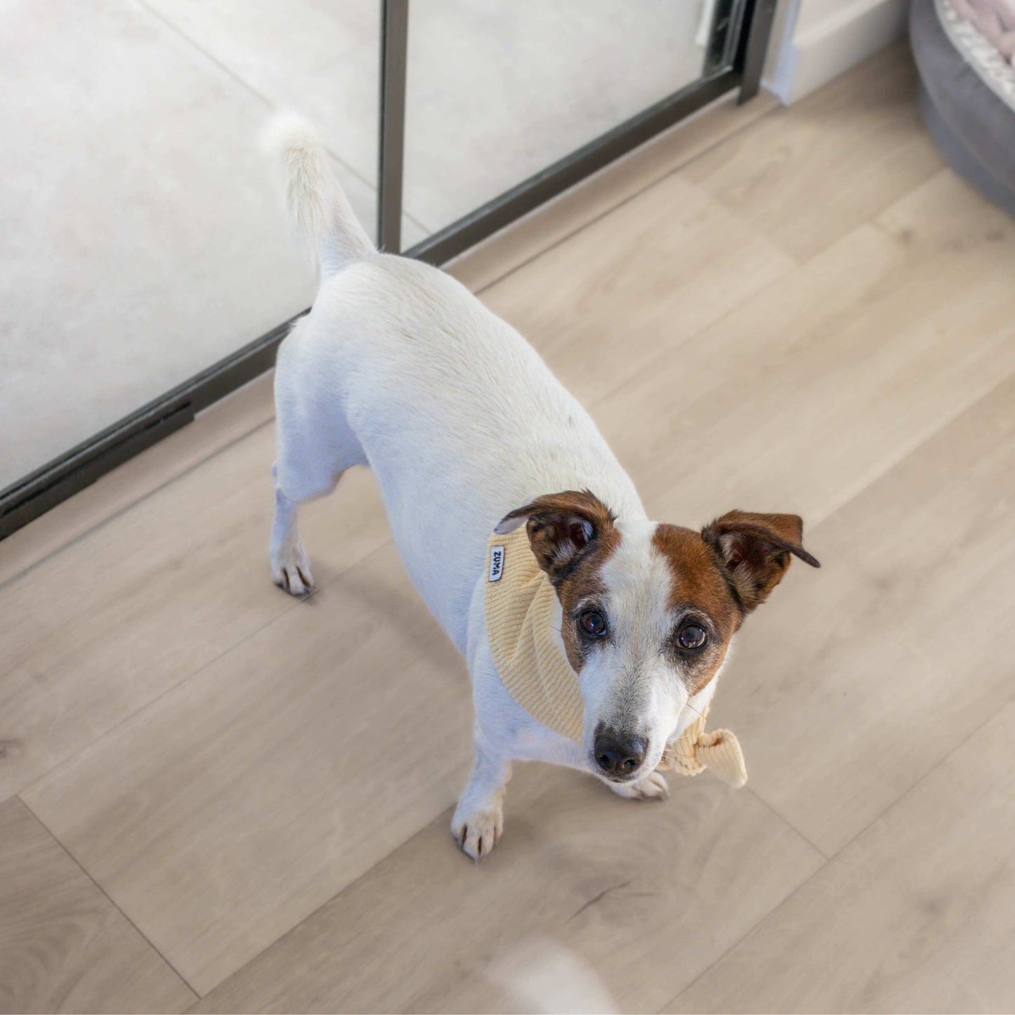 Hondenbandana Vanilla