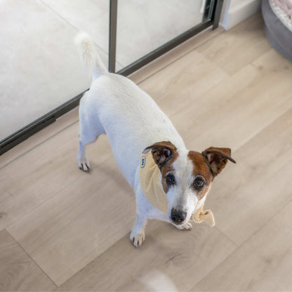 Hondenbandana Vanilla