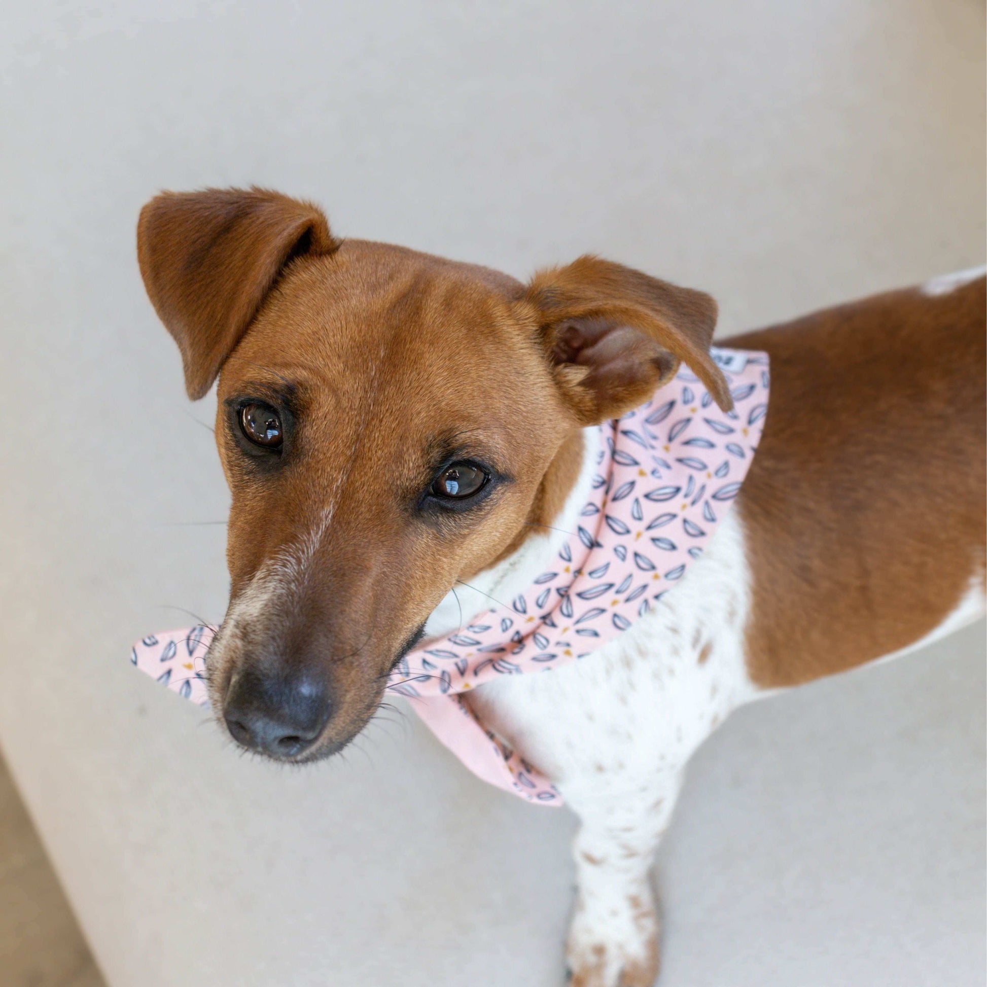 Hondenbandana Lovely Charm