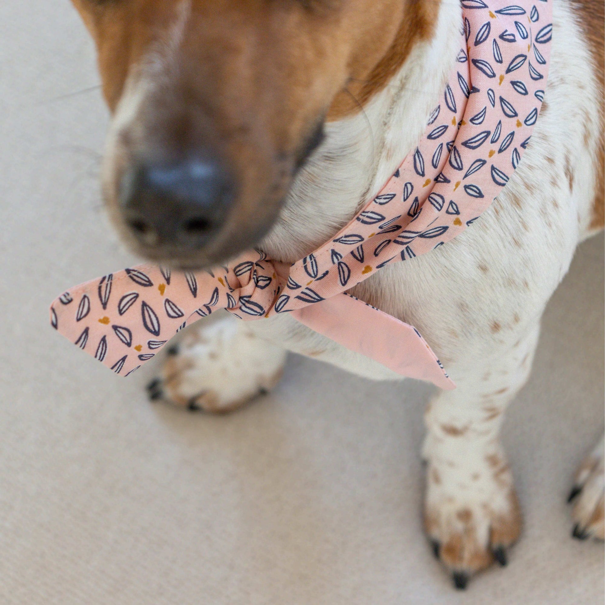 Hondenbandana Lovely Charm