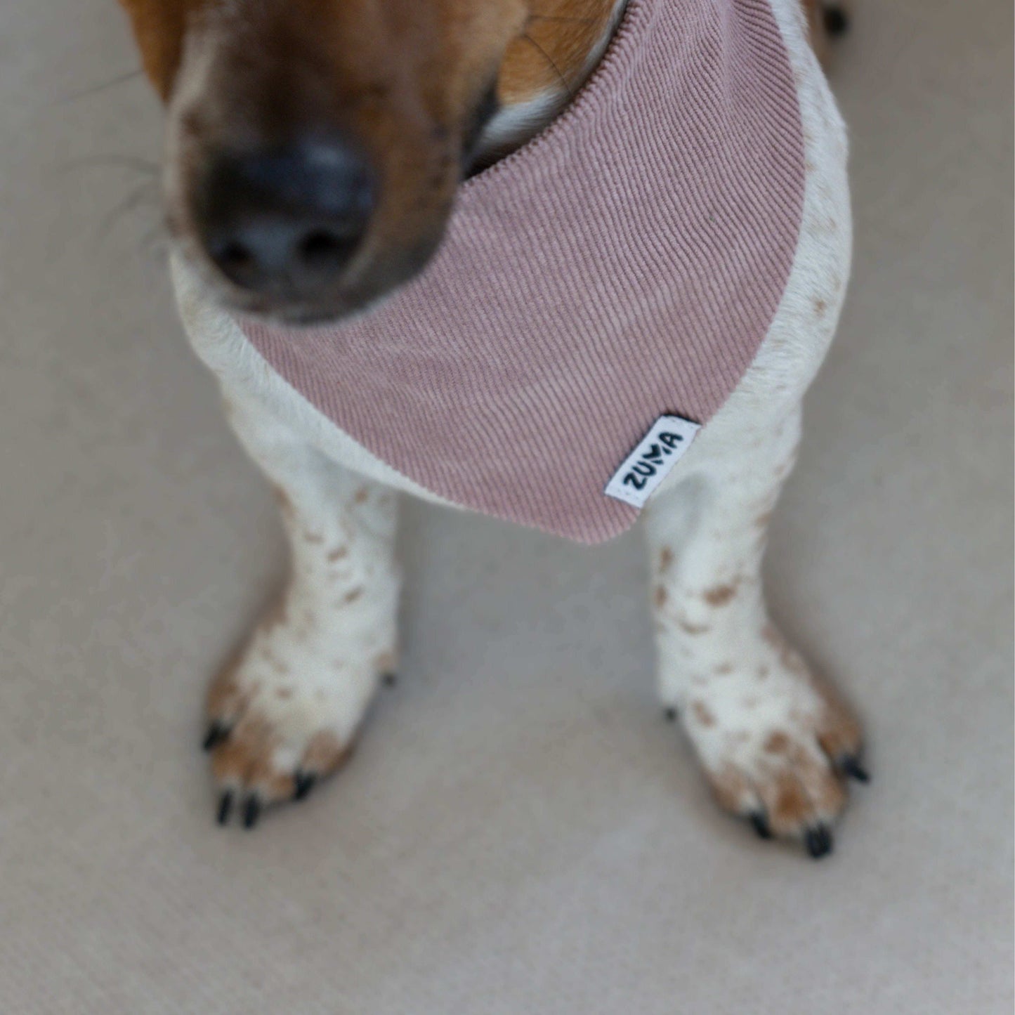 Hondenbandana Pink Velvet