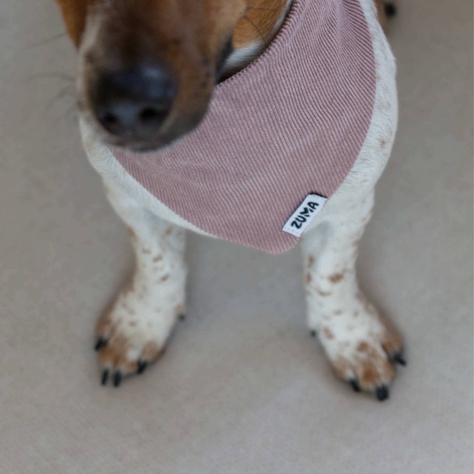 Hondenbandana Pink Velvet