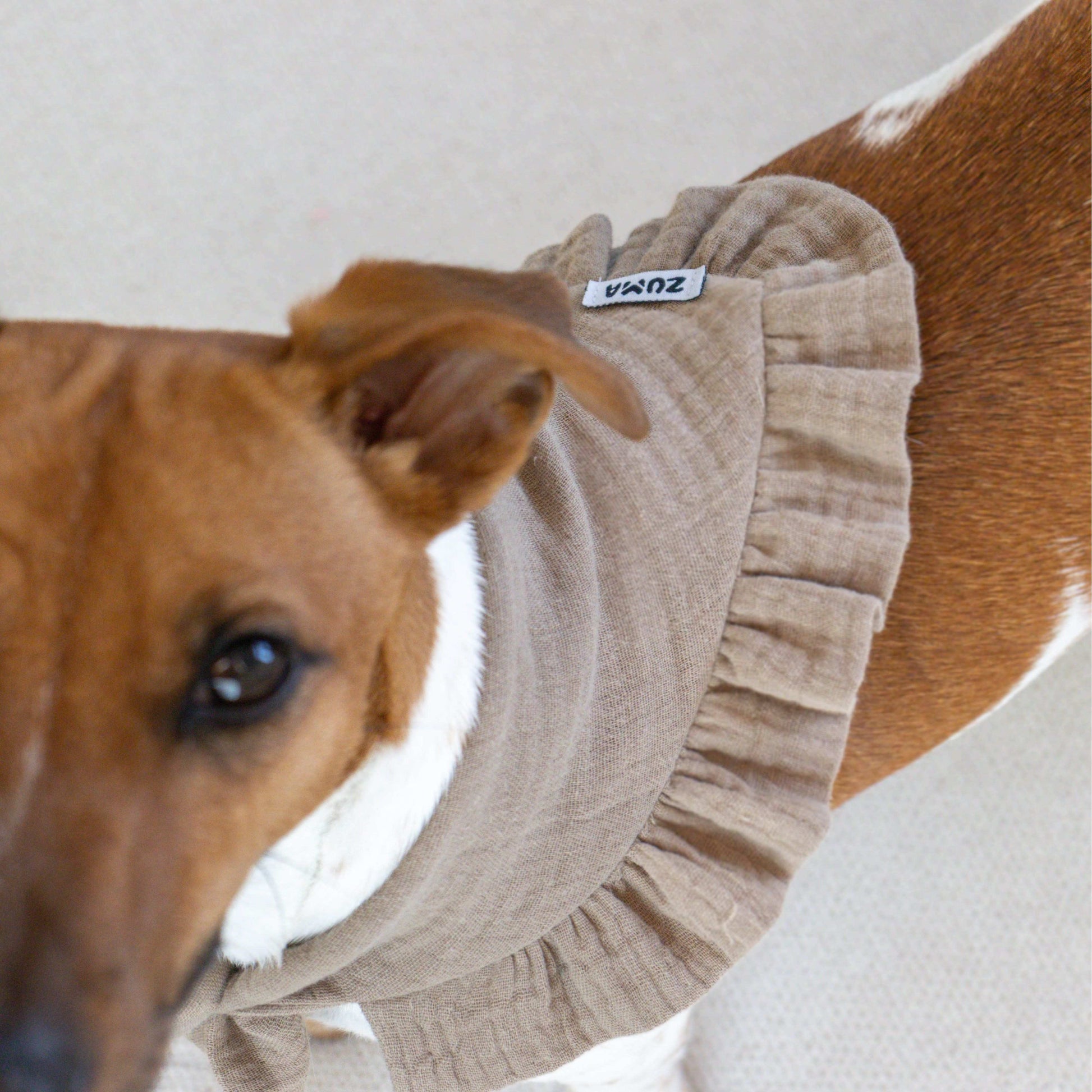 Hondenbandana Snuggle Taupe