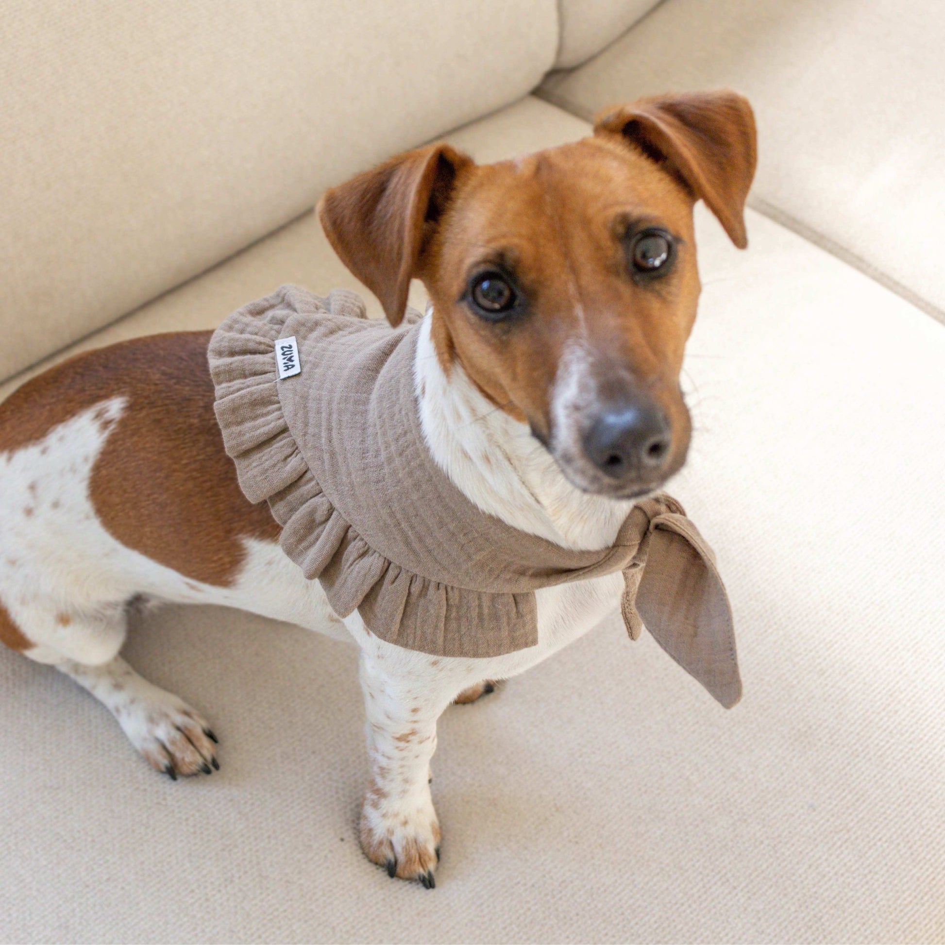 Hondenbandana Snuggle Taupe