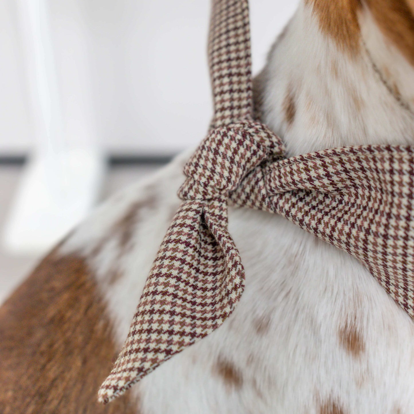 Zuma - Hondenbandana