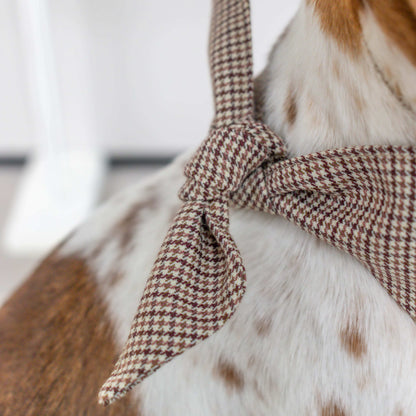 Zuma - Hondenbandana