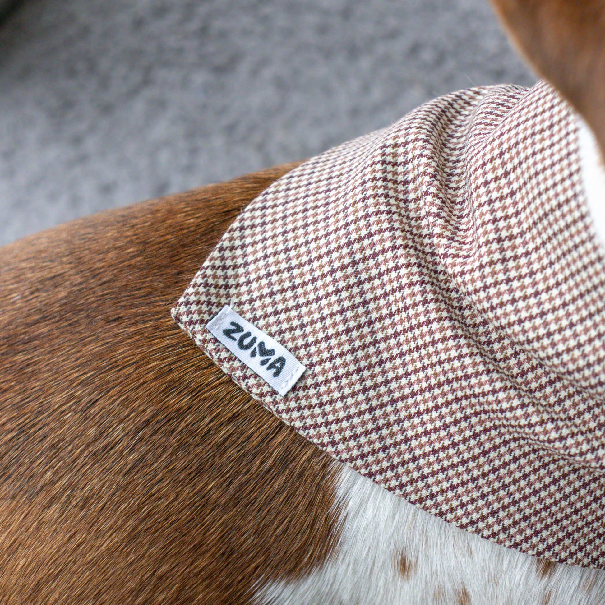 Hondenbandana Pied De Poule