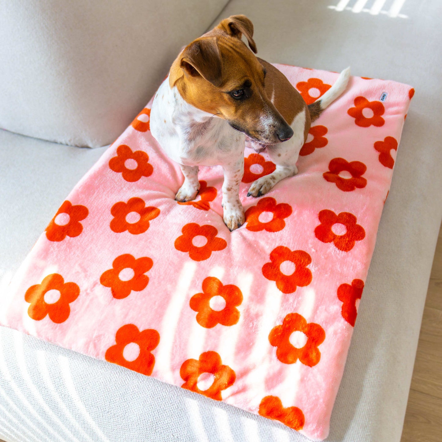 Hondenmat - Zuma - Hondendoek