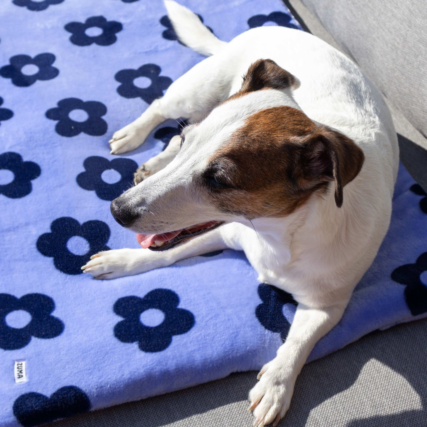 Hondenmat - Zuma - Hondendeken