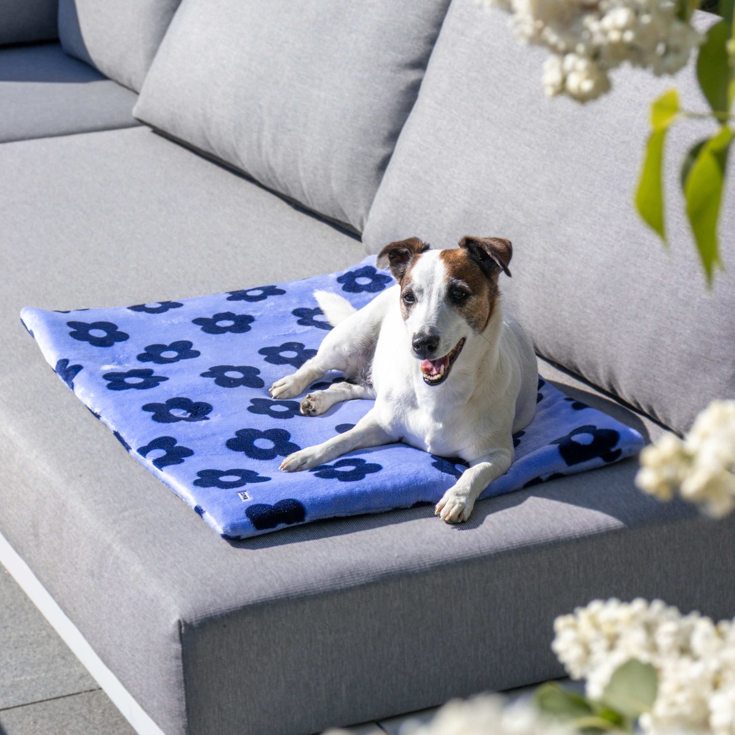 Hondenmat - Zuma - Hondendeken