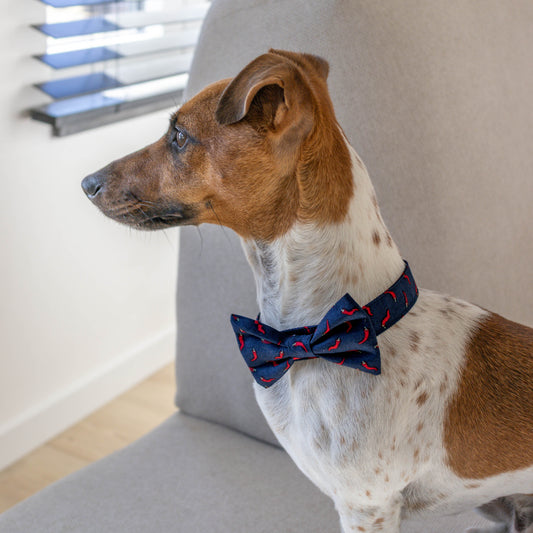 Vlinderdas Hot 'n Spicy