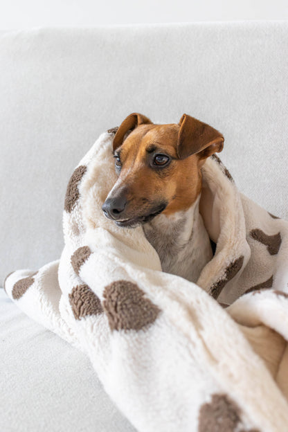 Moderne bruine slaapzak voor een hond met een hond in
