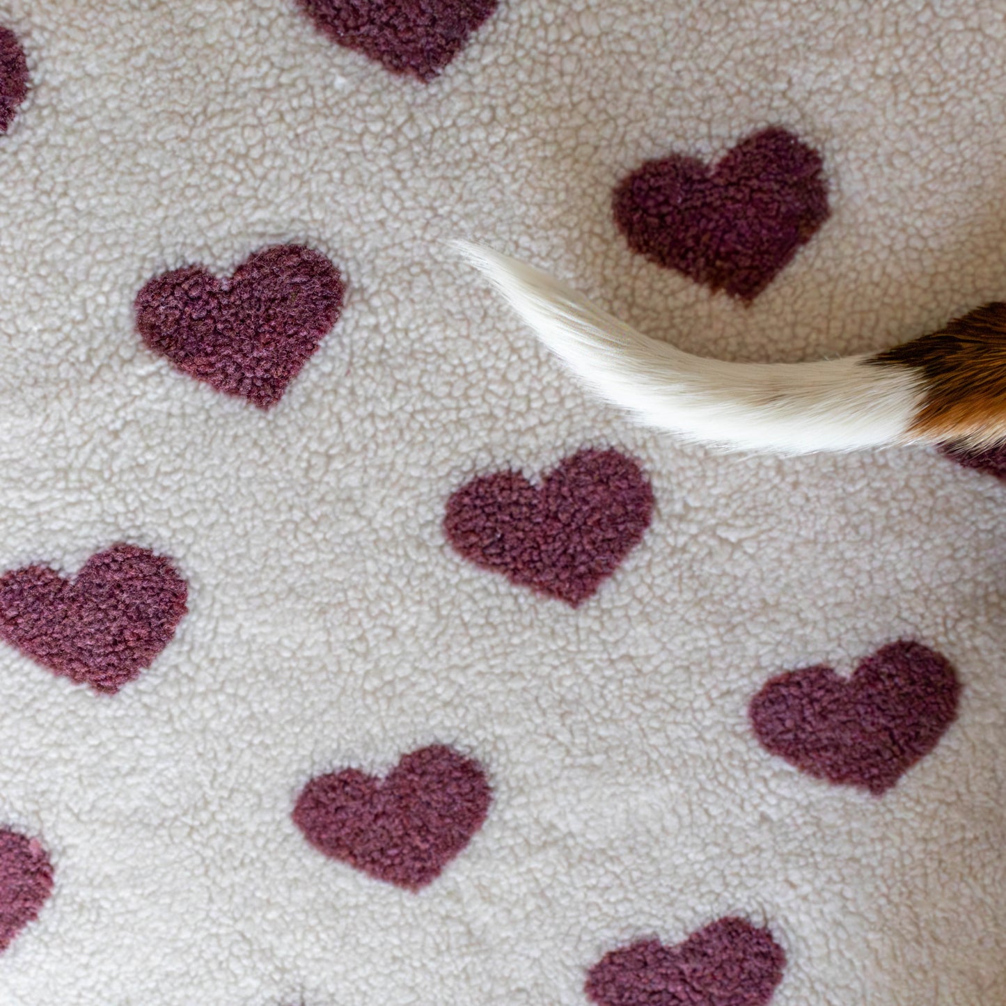 Print hondenslaapzak