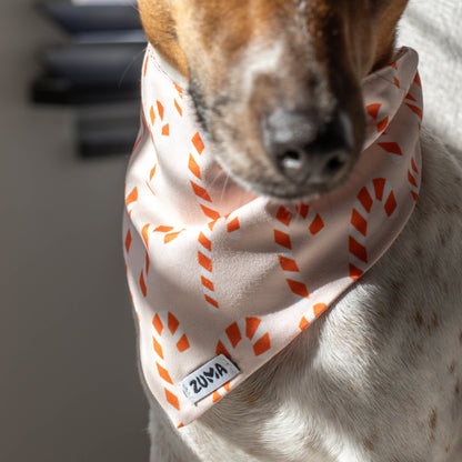 Bandana voor honden voor kerst met snoep