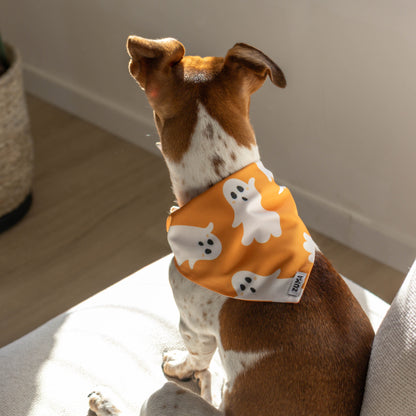 Hond die een bandana draagt met spookjes