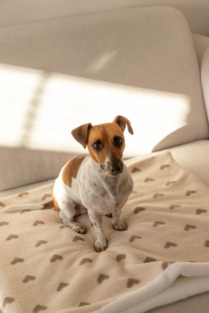 Hondenslaapzak Happy Hearts