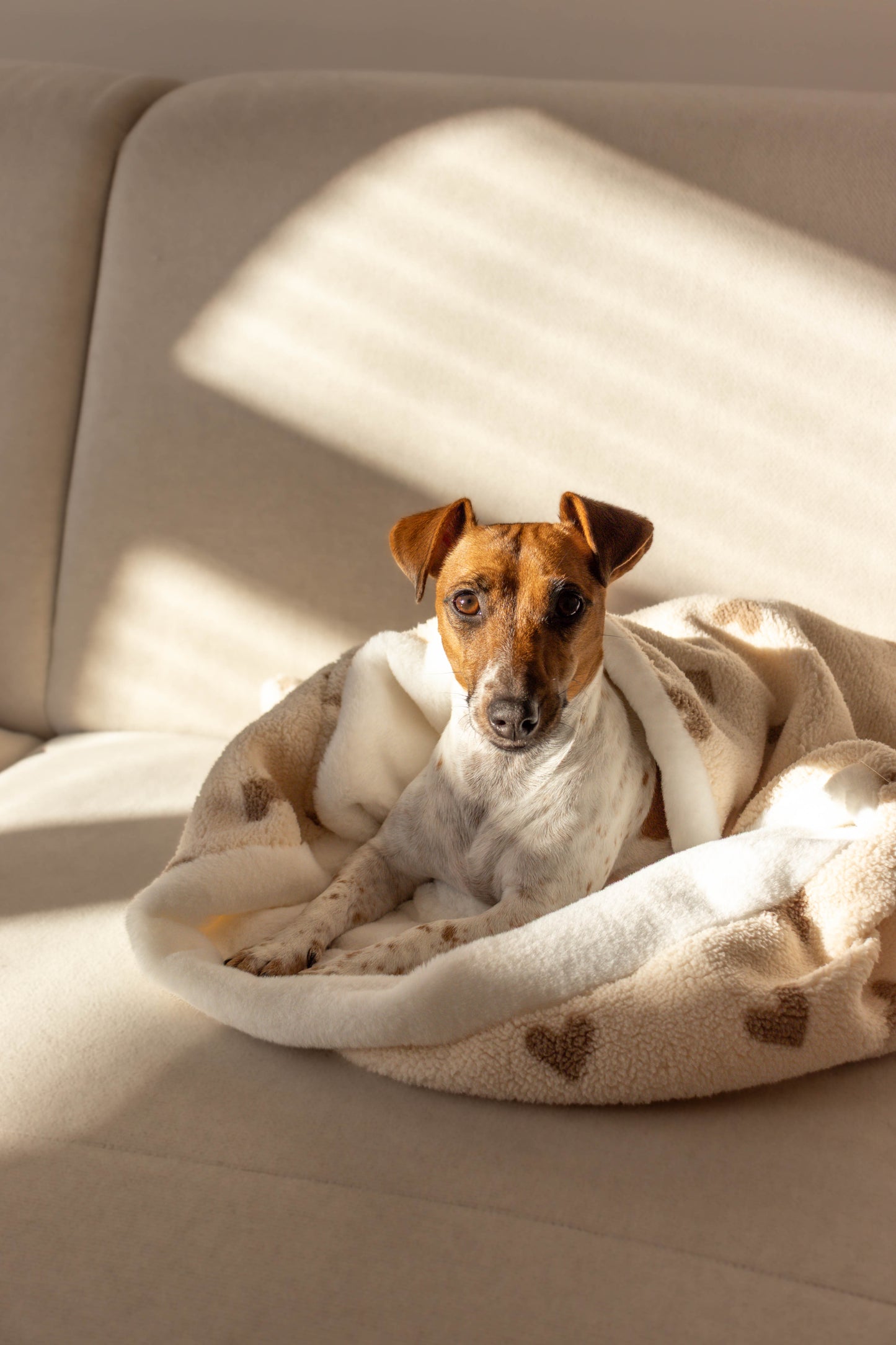 Hondenslaapzak Happy Hearts