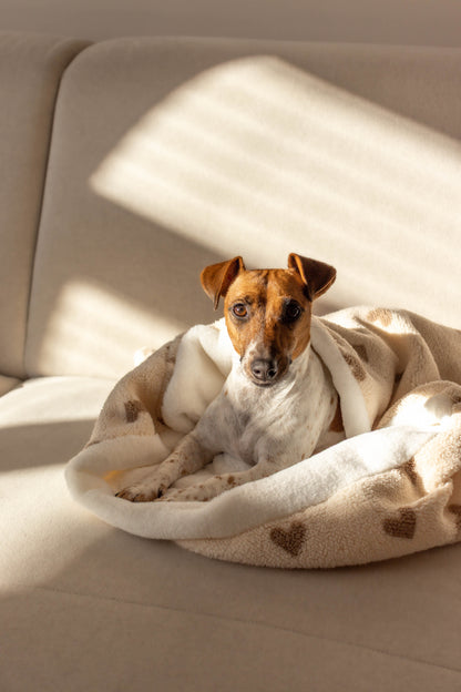 Hondenslaapzak Happy Hearts