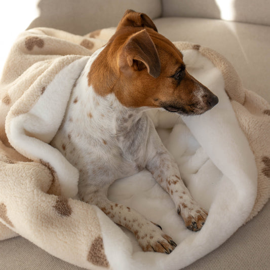 Hondenslaapzak Happy Hearts