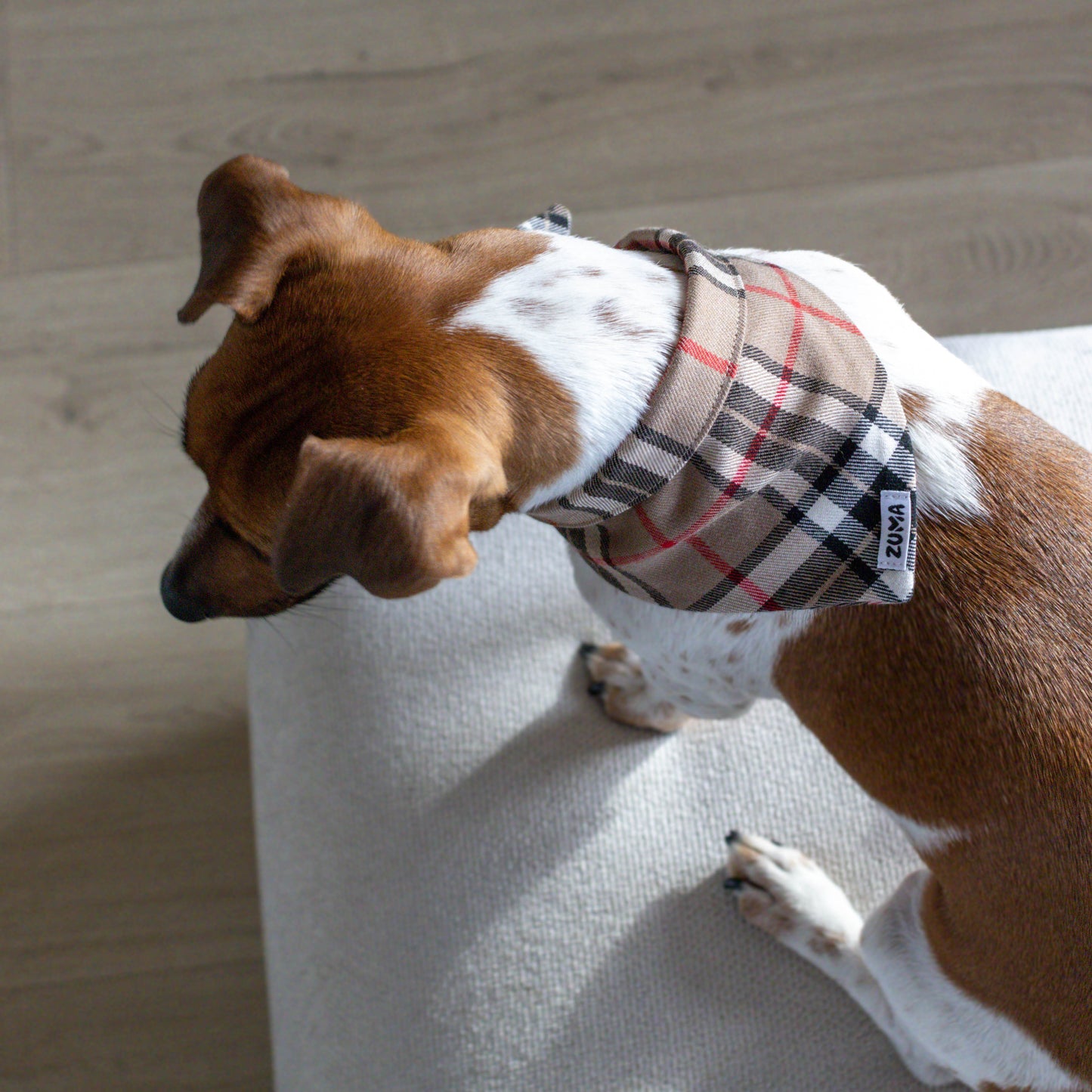 Hondenbandana Burberry