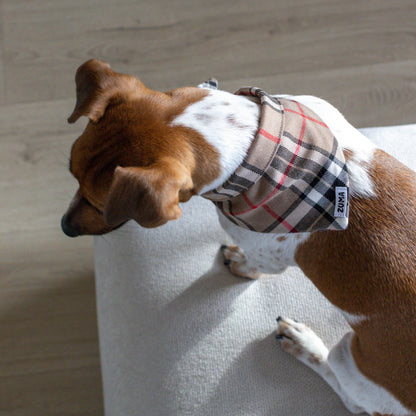 Hondenbandana Burberry