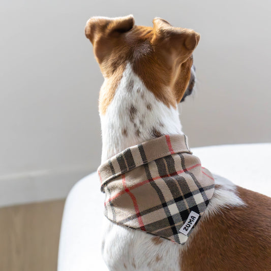 Hondenbandana Burberry