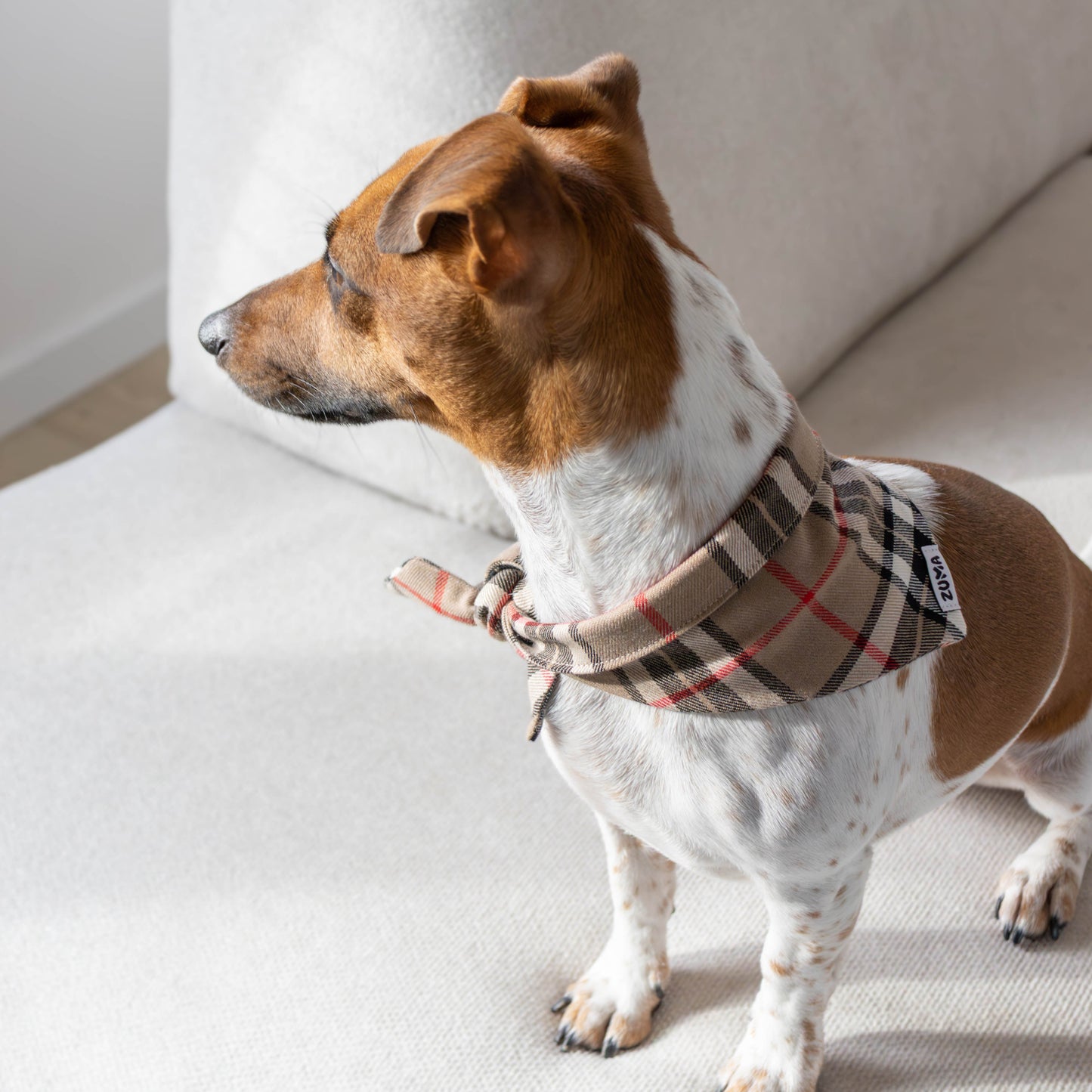 Hondenbandana Burberry